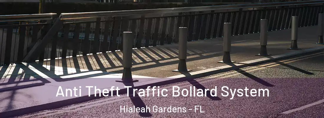 Anti Theft Traffic Bollard System Hialeah Gardens - FL